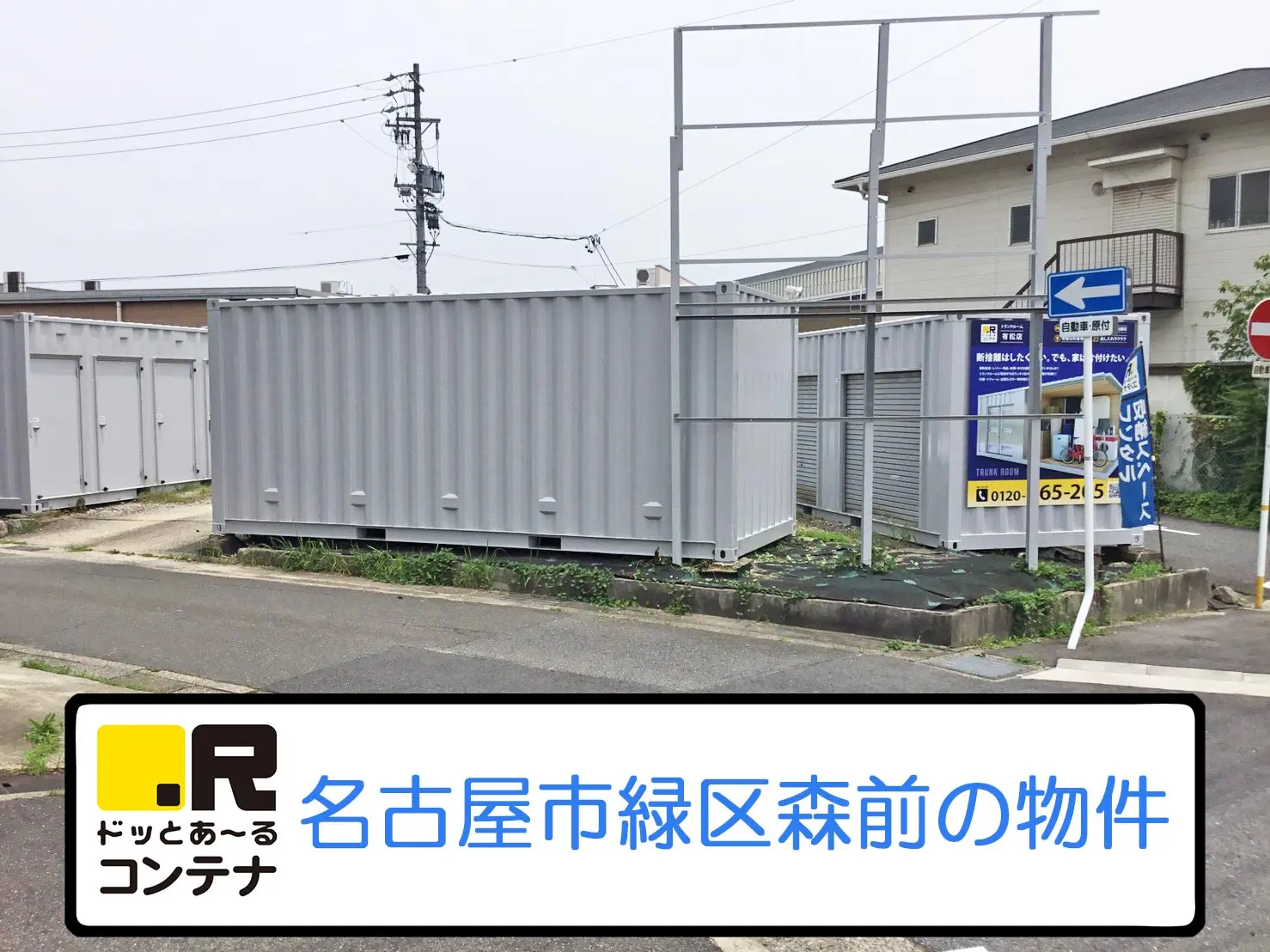 有松