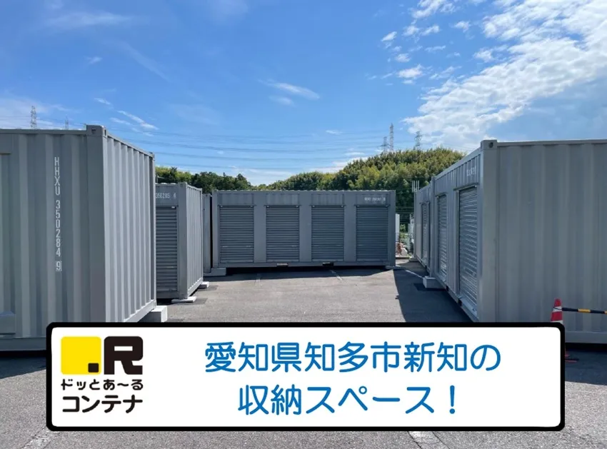 知多新知